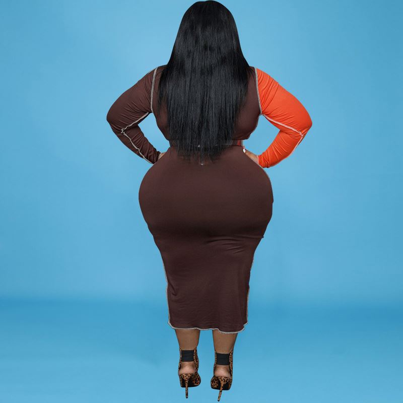 LS Curves  Women's Clothing New  Plus Size Leopard Dress Print Stitching Long Sleeved Plus Size Women's Dresses